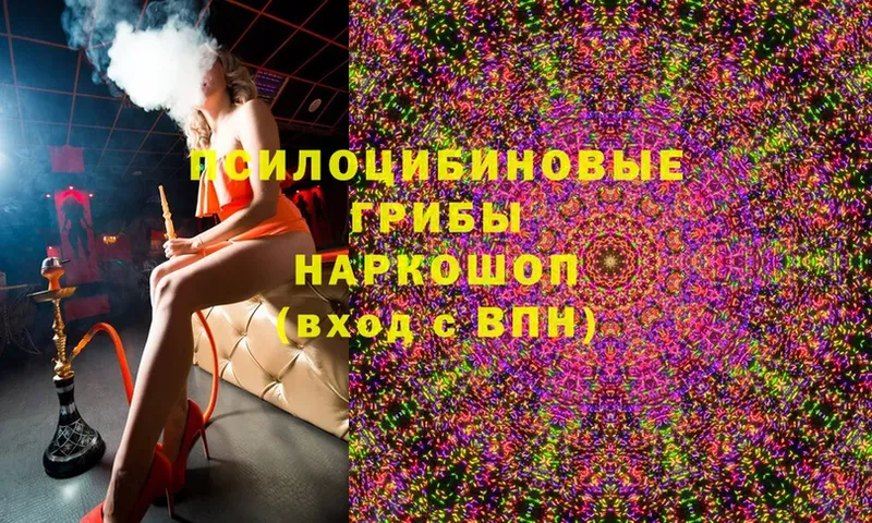 наркота  Бутурлиновка  Галлюциногенные грибы MAGIC MUSHROOMS 